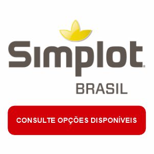 BATATAS SIMPLOT BRASIL - COLSULTE OPÇÕES DISPONÍVEIS
